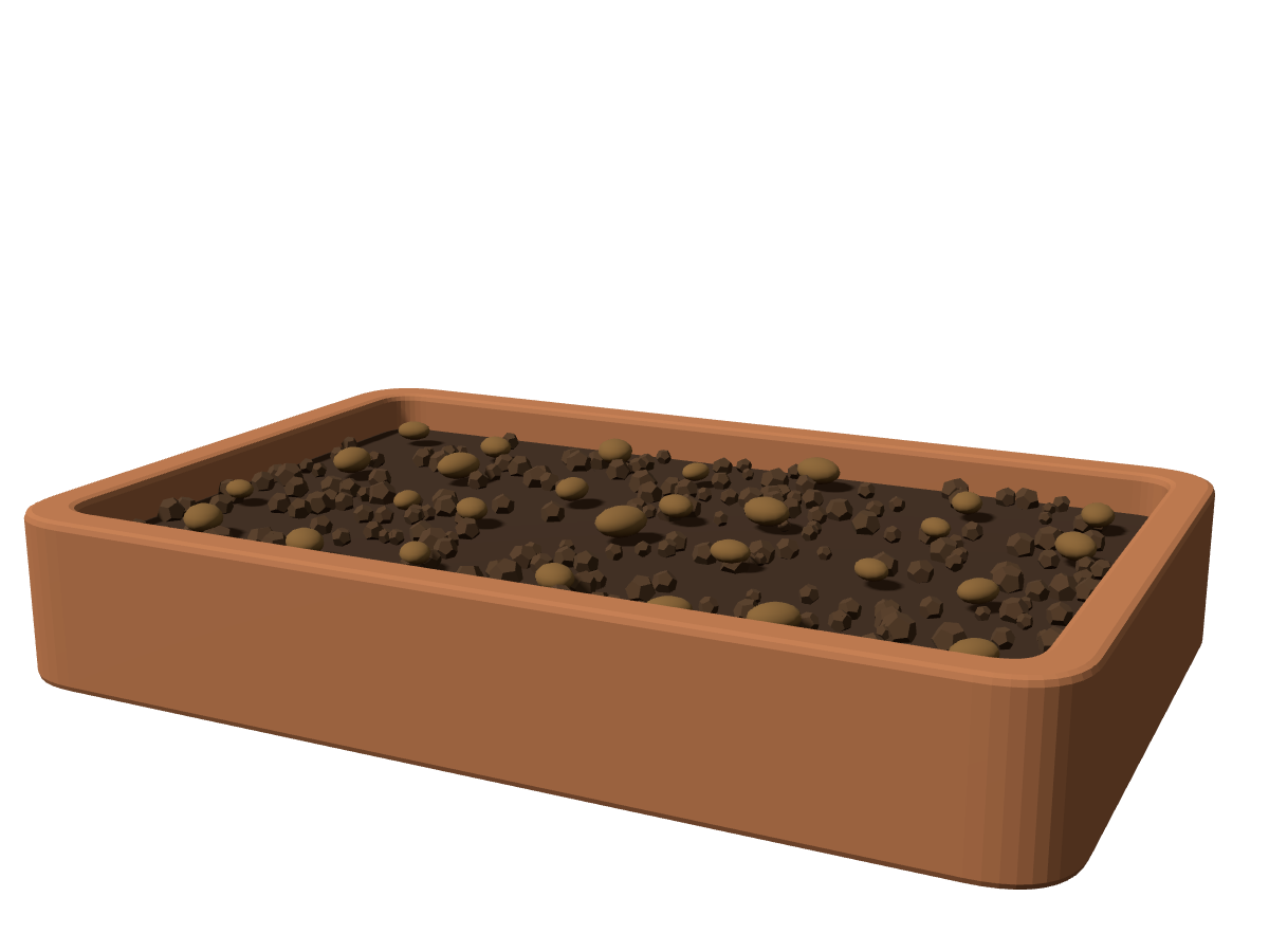 A tray of seeds on coco coir